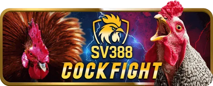 Săn hũ và nhận thưởng giá trị tại tha bet